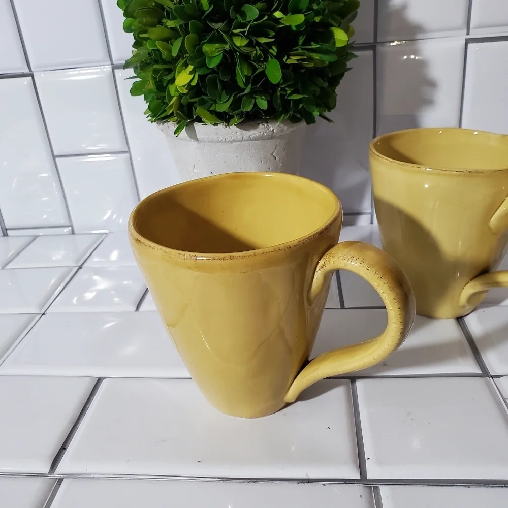 NWOT Lot of 2 Z GALLERIE Mugs  Made in Italy Color